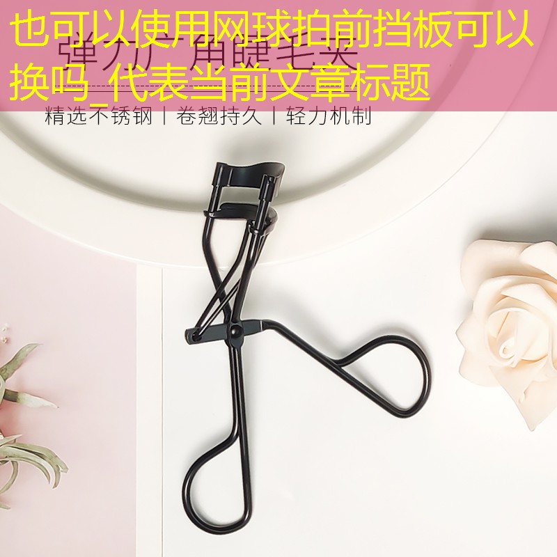 网球拍前挡板可以换吗_